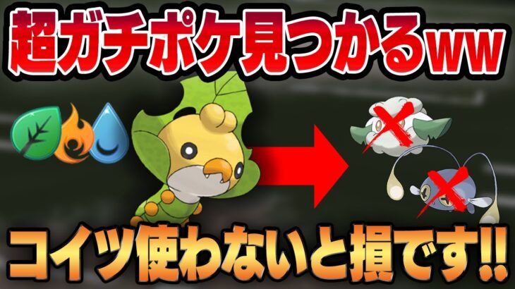 【エレメントカップ】実は耐久＆技共に優秀なクルミルがガチポケ中のガチポケ！！知っておかないとカモられます！！【GBL】