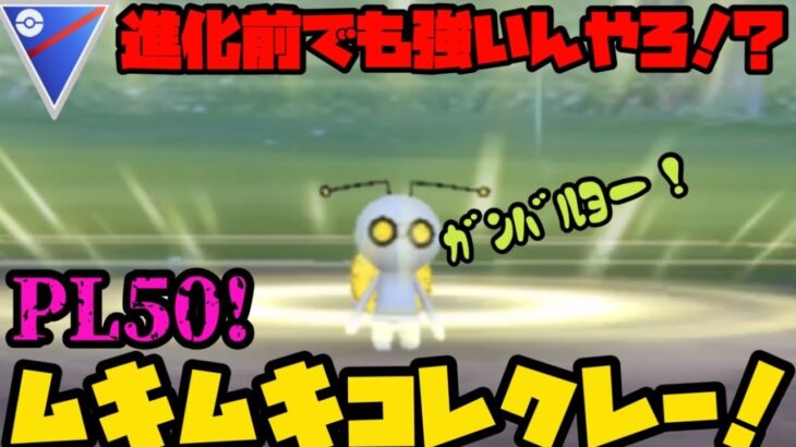 【ポケモンGO】コインが足りないなら進化させなければいい！PL50ムキムキコレクレー、ここに参上！【スーパーリーグ】