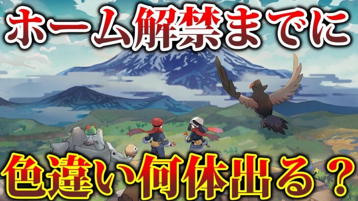 【HOME連携待機】アプデ負け組なので、メンテ明けまでにヒスイで色違い何匹出せる？【ポケモンレジェンズアルセウス】【ポケモンSV】