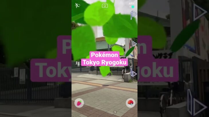 Pokémon Tokyo Ryogoku #pokemon #pokemongo #ポケモンgo #サンクチュアリ #聖域 #両国 #両国国技館 #netflix #相撲 #esports