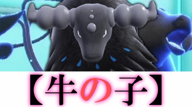 【牛の子】cow and kenta Ross【ゆっくり実況】【ポケモンSV】