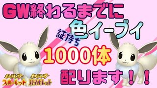 【ポケモンsv】最終日！GW終了までに！色イーブイ1000体配布会！【初見さん歓迎！】