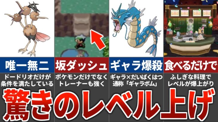 歴代ポケモンの最高効率のレベル上げ方法が予想外すぎたw