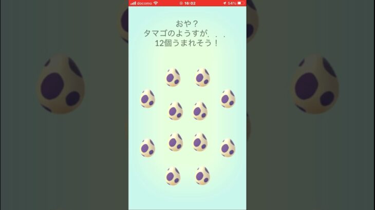 10km卵12連！結果はいかに！？！？ #ポケモンgo #ポケモン #卵孵化　#10kmたまご