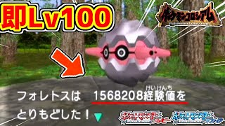 【ポケモン3世代】コロシアムの経験値稼ぎはこれで間違いない