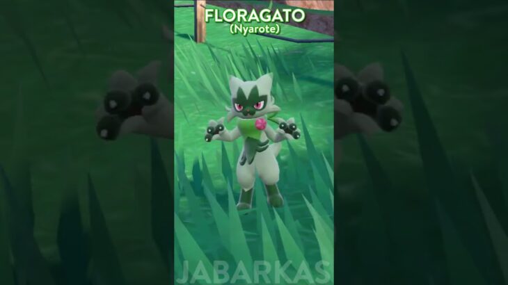 FLORAGATO | Pokemon mèo cỏ, dạng tiến hóa của Sprigatito | Chú mèo đi hia thích gây sự chú ý