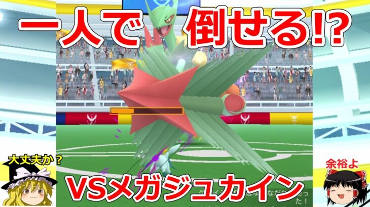 【ポケモンGO】ぼっちでも大丈夫⁉️メガジュカインのソロレイドに挑戦‼