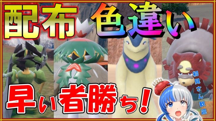 【ポケモンSV】ヒスイ色違いプレゼント！早い者勝ちで配布します！【#ポケモン配布 #ポケモン交換 】