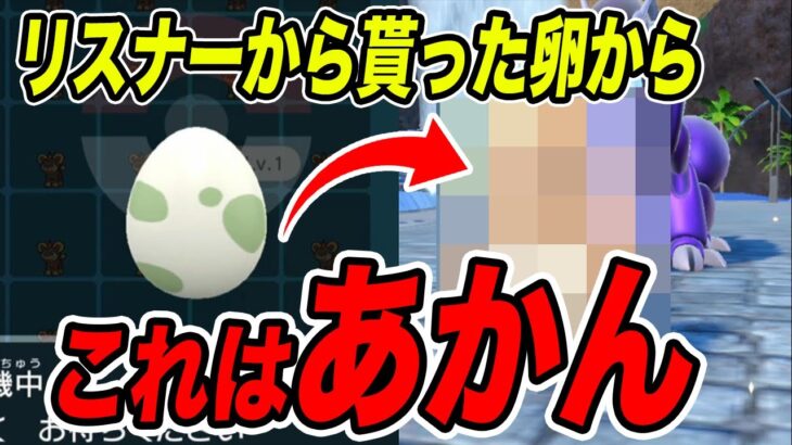 【ポケモンSV】シシコの孵化余りをリスナーに配っていたらお返しの卵からすげー奴が産まれた【スカーレットバイオレット/スカバイ】