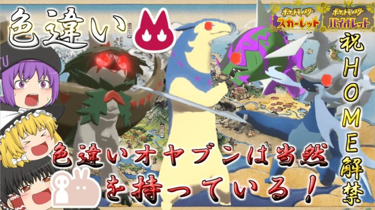 【ポケモンSV】ヒスイ地方でゲットしまくった色違いオヤブン共！お前ら当然でっかいあかし持ってるに決まってるよなぁ！！（今更）【ゆっくり実況】