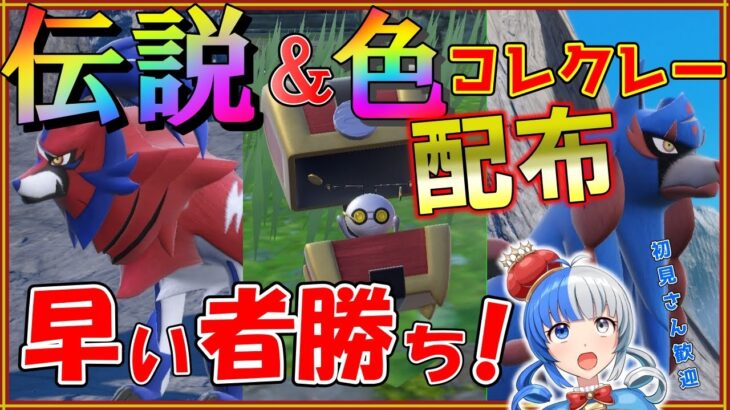 【ポケモンSV】色違いコレクレー＆ザシアン、ザマゼンタ配布！早い者勝ちだあああああああ！