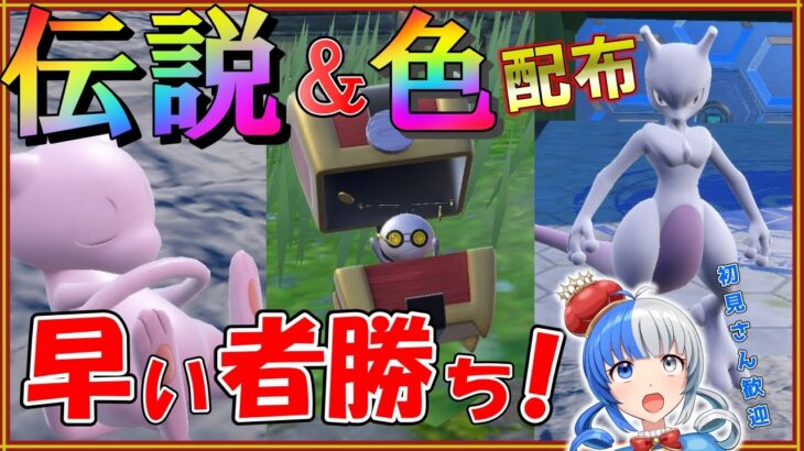 【ポケモンSV】色違いコレクレー＆ミュウ、ミュウツー配布！早い者勝ち！