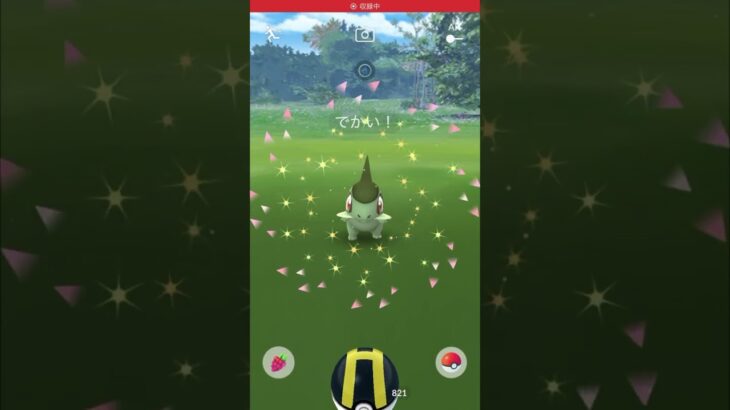 【キバゴコミュデイ】XXLとXXSと色違い【ポケモンGO】 #ポケモンgo