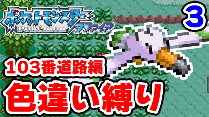 色違いを103番道路で粘ります 3【ポケモンRS色違い縛り】