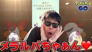 10KMタマゴ28連！メラルバちゃんしか愛せない男の結果は！？【ポケモンGO】