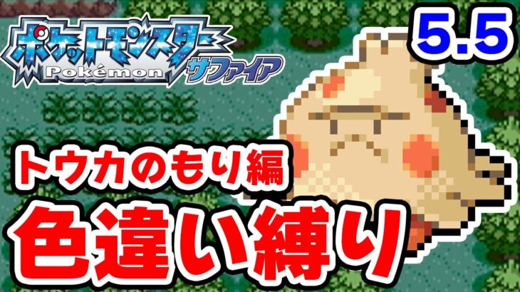 色違いをトウカのもりで粘ります 5.5【ポケモンRS色違い縛り】