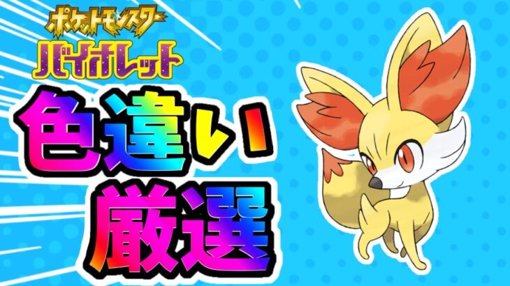 【孵化厳選】色違いフォッコ孵化厳選 510～ 【#ポケモンSV】