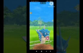 BESTEST FIGHT ON THE HIGHEST RANK IN LEGUES IN POKEMON GO WITH GYARADOS EVOLUTION #viral