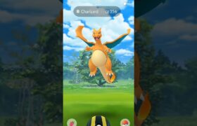 Catching a Charizard in the wild in Pokemon GO