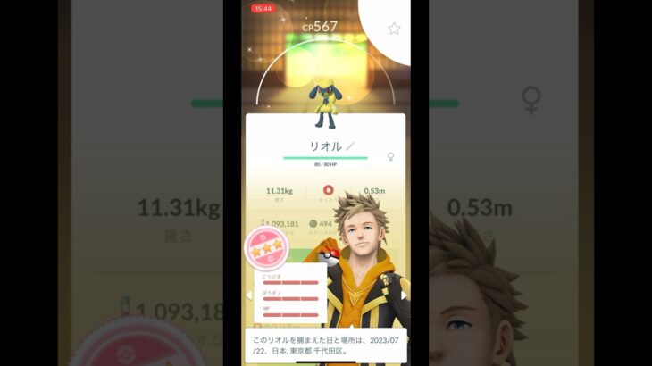 【ポケモンGO】リオル色違い100%ゲットの瞬間【SHUNDO】