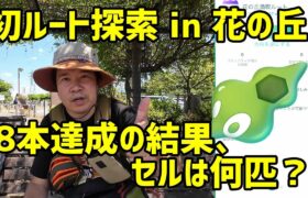 【ポケモンGO】花の丘で初ルート、計8本の結果は如何に！ジガルデ・セルは見つかるか？色々問題あるかも？