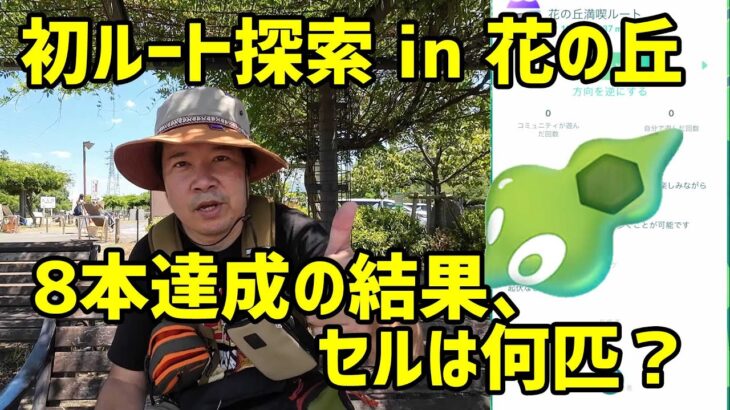 【ポケモンGO】花の丘で初ルート、計8本の結果は如何に！ジガルデ・セルは見つかるか？色々問題あるかも？