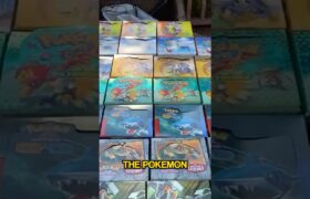 Mom Discovers $500,000 Pokemon Cards In Basement