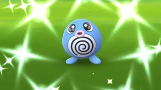 Poliwag Community Day – LIVE – Shiny Hunt (Pokemon GO)