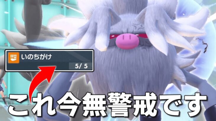 今って「コノヨザル」のいのちがけ全く警戒されなくない？【ゆっくり実況】【ポケモンSV】