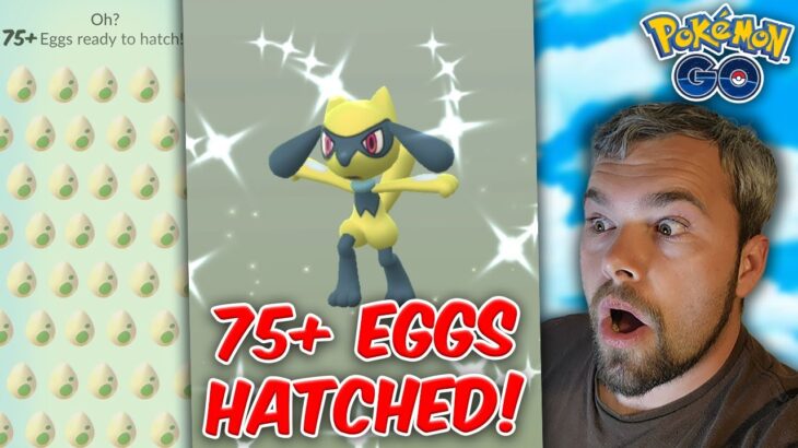 Shiny Riolu Hatch Day! Over 75 Eggs Hatched! (Pokémon GO)