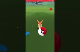 緊急事態！被害者そして勝者ビクティニを救え！ #ポケモンgo #ビクティニ #幻のポケモン