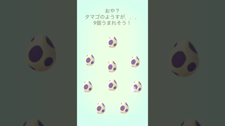 今更だけど贅沢な孵化を体験したかった・・・ #ポケモンgo