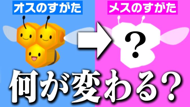 【知ってる？】ポケモンのことちゃんと見てるならオスとメスの姿違いも一瞬で分かるはず