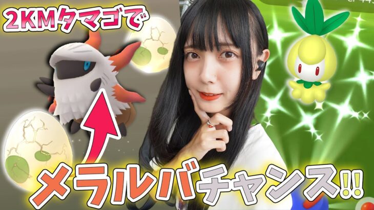 何連で何匹？2KMタマゴからメラルバチャンス！その他のボーナスも熱い！【ポケモンGO】