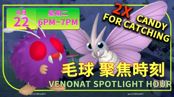 《Pokémon GO》毛球聚焦時刻有色違✨捕捉2倍糖果 コンパン Venonat Spotlight Hour #pokémongo #venonat  #spotlighthour #ポケモンGO