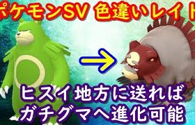 🔴【ポケモンSV】色違いリングマのレイド＋視聴者同士の交流所（レイド募集・ポケモン交換・ポケモン対戦・攻略情報など）2023年8月2日 夜～