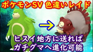 🔴【ポケモンSV】色違いリングマのレイド＋視聴者同士の交流所（レイド募集・ポケモン交換・ポケモン対戦・攻略情報など）2023年8月2日 夜～