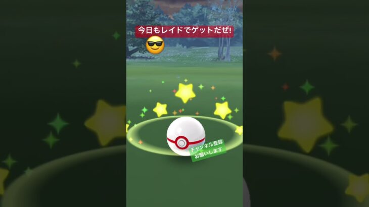 #ポケモンgo #ポケgo #ポケモン #pokemongo #pokémon #pokemon #イベルタル #yveltal #レイド #チャンネル登録お願いします #shorts #get