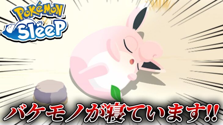 【マスター６】終身雇用した環境トップが寝てるってぇぇぇぇ！！【ポケモンスリープ】