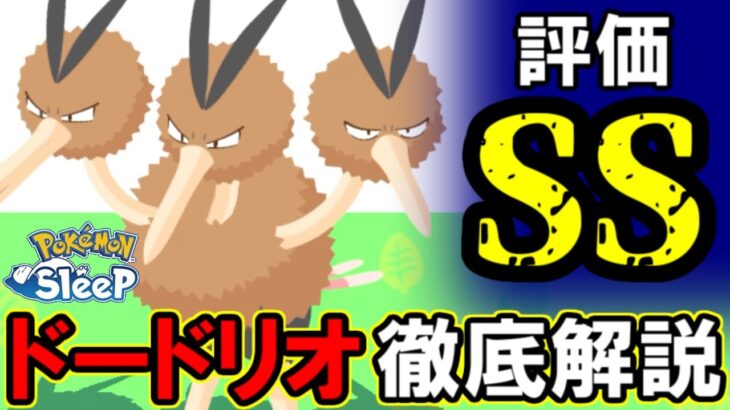 この化け物は絶対に捕まえましょう。【ポケモンスリープ】