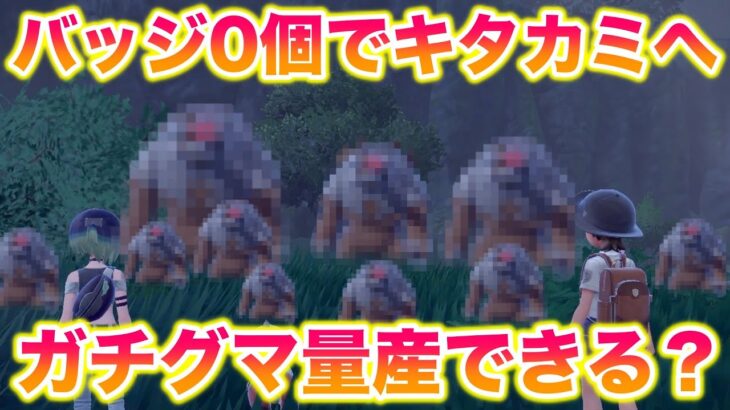 【検証】バッジ0個でキタカミの里に行ったらアカツキの姿のガチグマを量産できんじゃね？ 【ポケモンSV/碧の仮面/ゼロの秘宝】