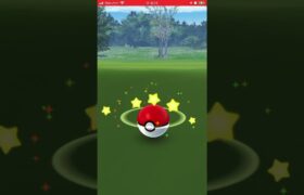 ポケモンGO やせいのデデンネ