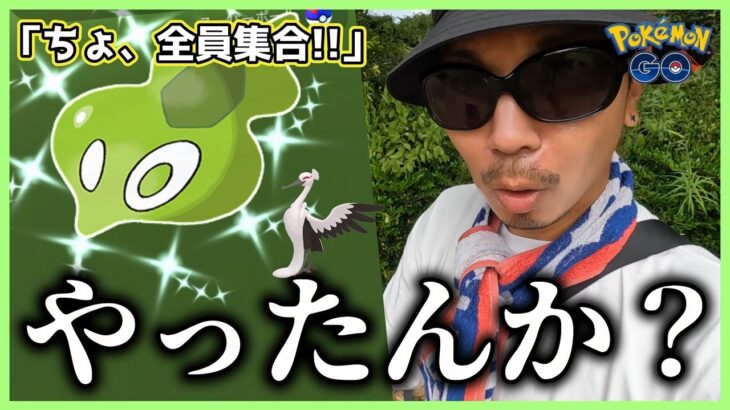 【ポケモンGO】ん？まさか？ちょ待って…？ジガルデ・セルに異変が？色違いオトシドリを狙って果敢に３つ星レイドガチャに挑戦しながら「ガラル三鳥」が出れば100％捕獲してゆくスペシャル！【パルデア後編】