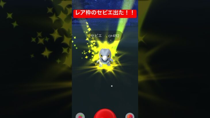 【ポケモンGO】パルデアイベントの激レア枠セビエ出たー！かわいすぎる！【ポケットモンスター】#shorts #ポケモンgo