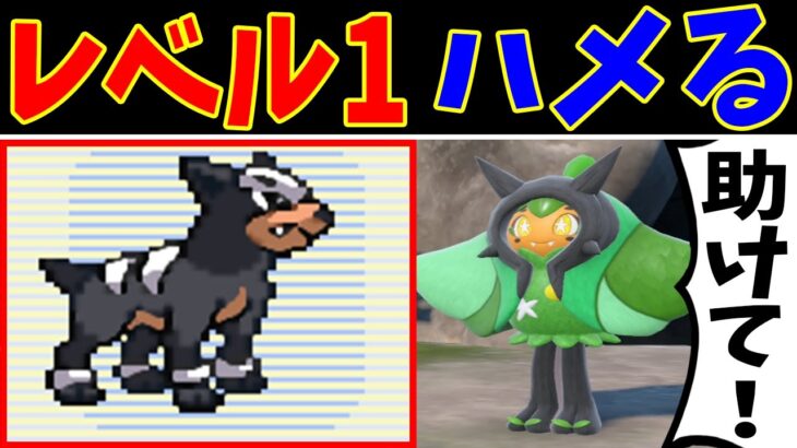 『デルビルLv1』だけで『オーガポン４連戦』を倒す【ゆっくり実況】【ポケモンSV】