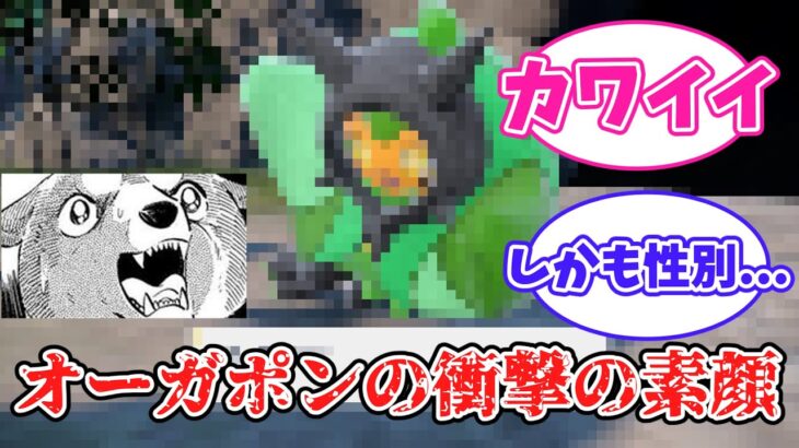 【ポケモンSV】衝撃的すぎるオーガポンの素顔を見た皆の反応集【ゼロの秘宝・碧の仮面】