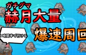 【ポケモンSV】ガチグマ（アカツキ）大量ゲット【ゆっくり解説】