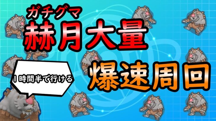 【ポケモンSV】ガチグマ（アカツキ）大量ゲット【ゆっくり解説】