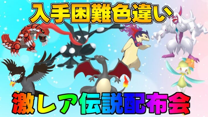 ポケモンSV DLC記念 激レア色違い・伝説配布会 色違いヒトカゲ、ケロマツ、ヒスイバクフーン