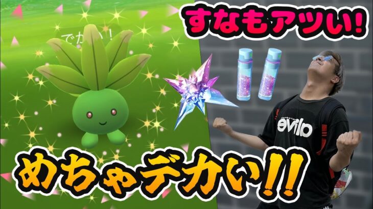 めちゃくちゃデカいぞ!?XXL色違い!ナゾノクサのリサーチデイですなも稼ぐぞ!!【ポケモンGO】